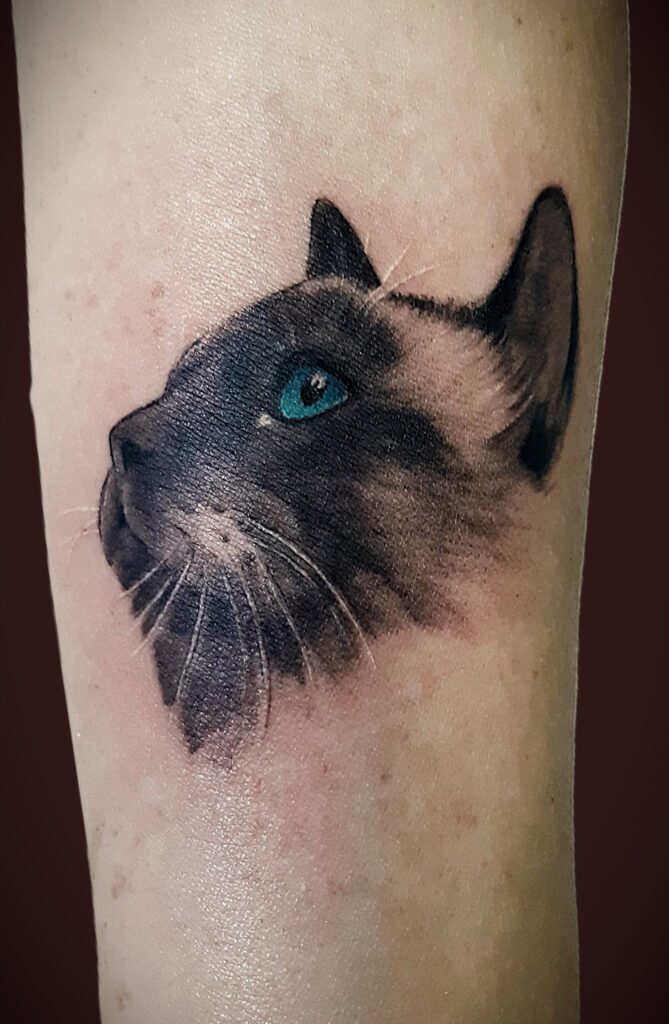 Tattoo Realistico Gatto Siamese