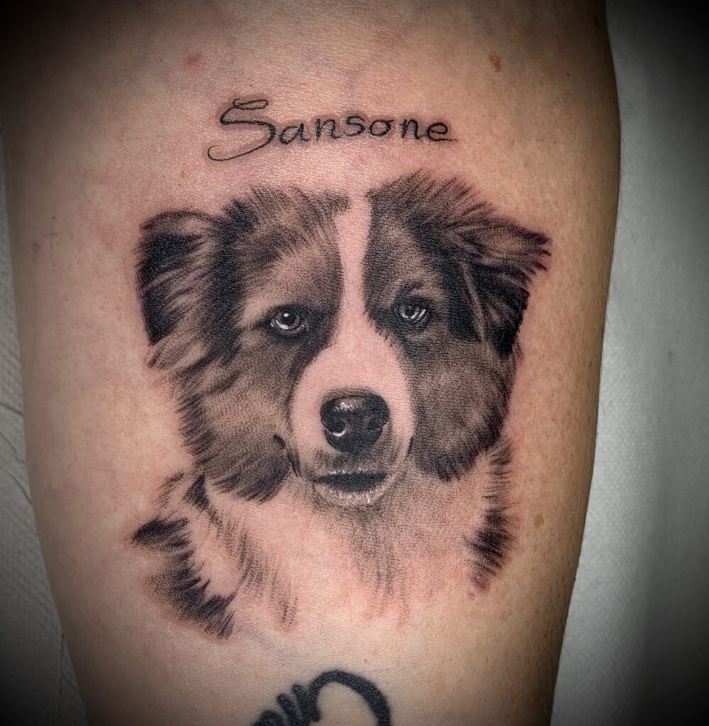 Tattoo Ritratto Cane Border Collie Sansone Black Grey Longare